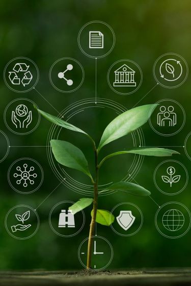 🌱 ai & climate change innovative solutions for a greener planet 🤖